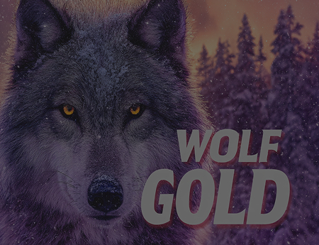 Wolf Gold