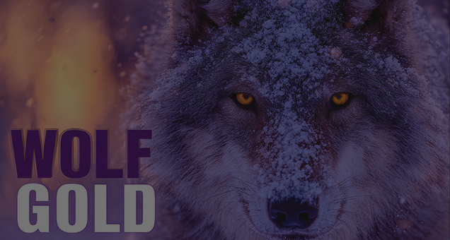 Wolf Gold